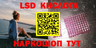 шишки Краснознаменск