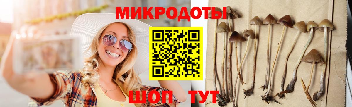 Галлюциногенные грибы Cubensis  Вход с VPN  Галлюциногенные грибы мицелий  Шатура 